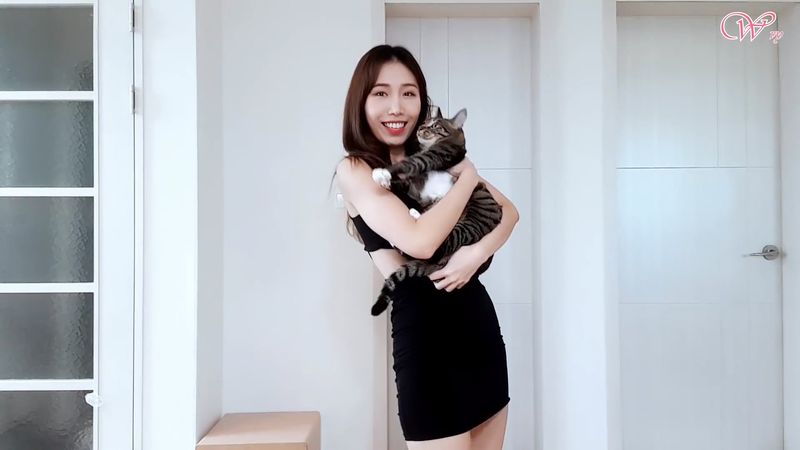 [Waveya](ENG SUB) Q&A 高清视频在线下载 W1901140111 Waveya2019 第3张