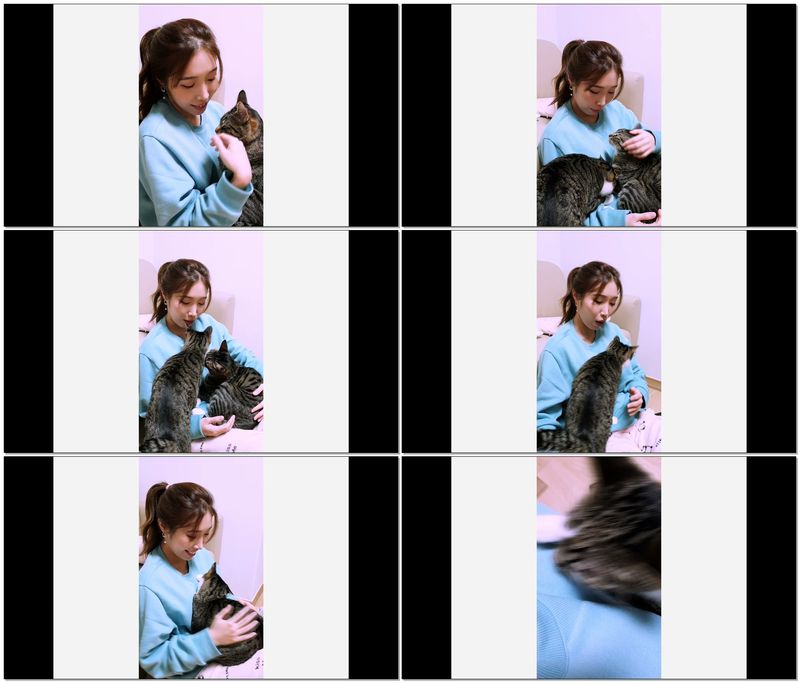 [Waveya]힐링 고양이들에게 사랑 받는다는 것 - 행복한 집사 高清视频在线下载 W1901240211 Waveya2019 第3张