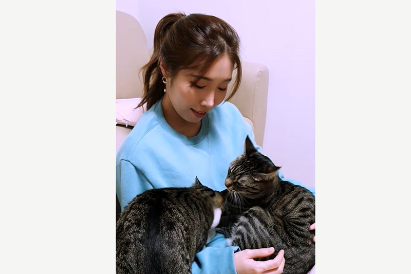 [Waveya]힐링 고양이들에게 사랑 받는다는 것 - 행복한 집사 高清视频在线下载 W1901240211 Waveya2019 第1张