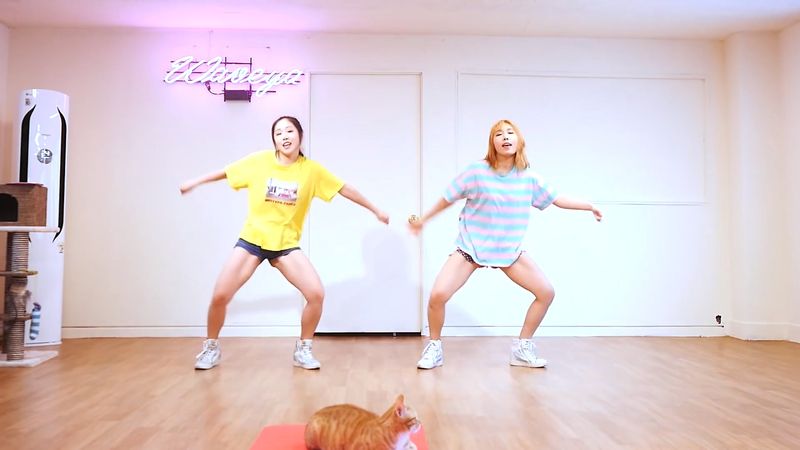 [Waveya]iKON - (B-DAY) cover dance 高清视频在线下载 W201706020111 Waveya2017 第3张