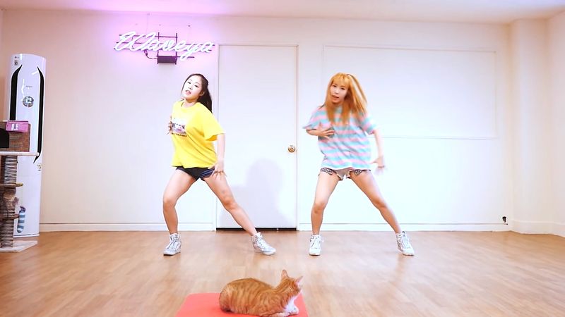 [Waveya]iKON - (B-DAY) cover dance 高清视频在线下载 W201706020111 Waveya2017 第4张