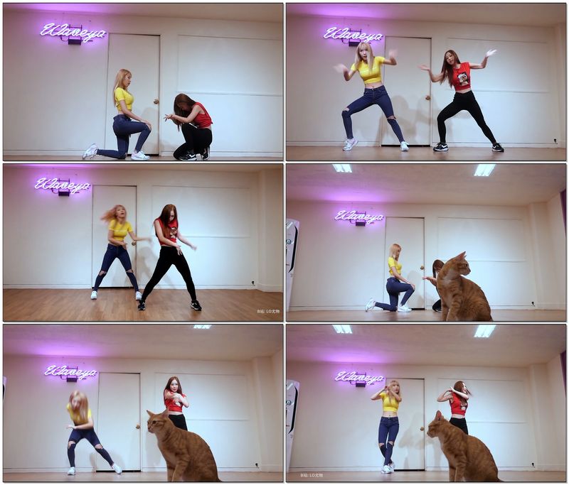 [Waveya]Wanna One Energetic 高清视频在线下载 Waveya2017 第4张