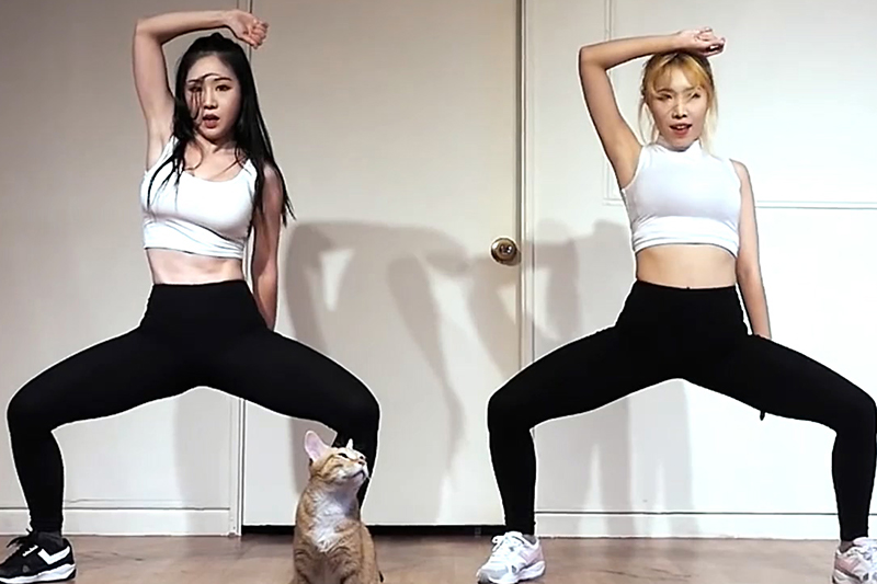 [Waveya]EXO (前夜) (The Eve) Dance Practice ver. 高清视频在线下载 Waveya2017 第1张